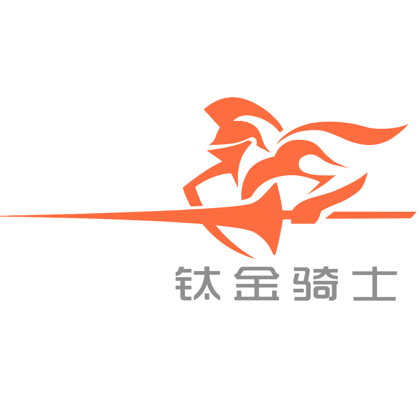 北京鈦金騎士網(wǎng)絡(luò)科技有限公司