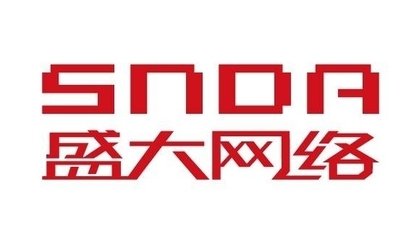 上海盛大網(wǎng)絡(luò)發(fā)展有限公司